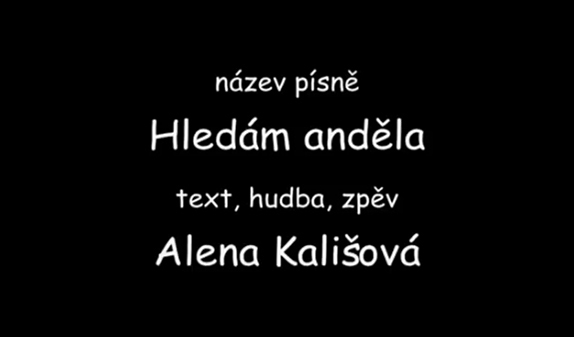 Hledám anděla 2015